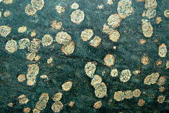 вариоли существенно плагиоклазового состава, проявленные в базальтовых потоках плато Кваркуш