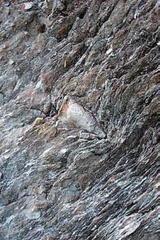 Фрагмент со структурой дропстоун (результат вытаивания камней изо льда и внедрения в мягкий песчано-глинистый ил).