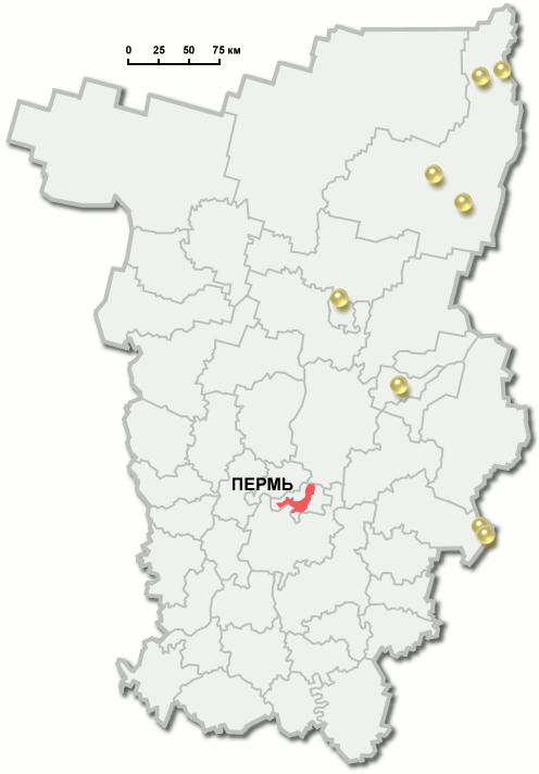 Интерактивная тектоническая карта Пермского края